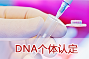 DNA个体认定